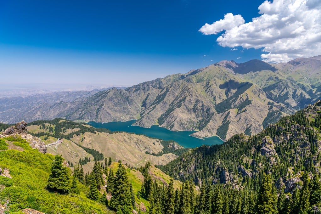 The plant in question can be found at the foot of the Tianshan Mountains in China’s Xinjiang Uygur autonomous region. Photo: Getty Images