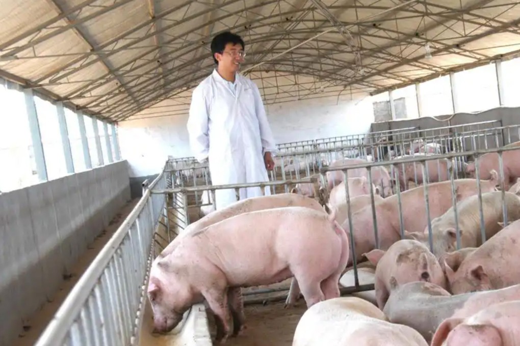 In 2023, a Chinese couple, known for their pig-farming fortune exceeding 100 million yuan (US$15 million), were detained on fraud charges but released due to insufficient evidence. Photo: Weibo