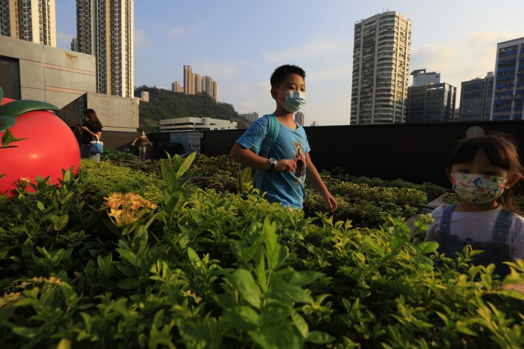 A rooftop farm at Metroplaza in Kwai Fong in 2022. High-rise developments should prioritise operable windows and sky gardens to ease vertical heat accumulation. Photo: Xiaomei Chen