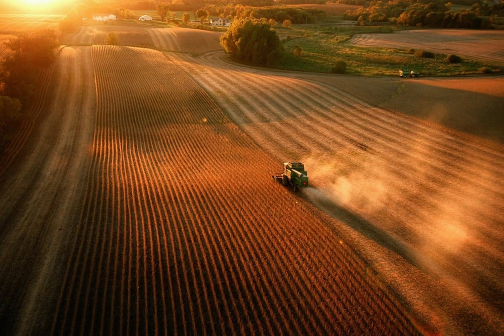 A farmer harvests soybeans in Faribault, Minnesota, in May 2025. Photo: TNS