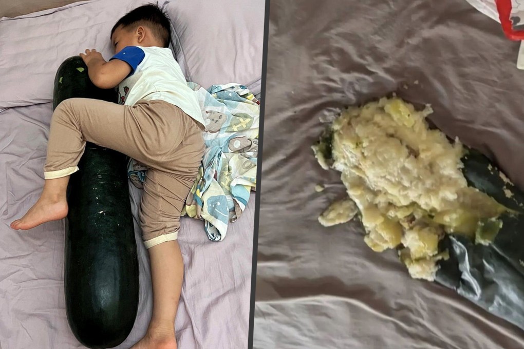 Reports from China describe shocking incidents of winter melons exploding while being held during the summer. Photo: SCMP composite/RedNote/Weibo