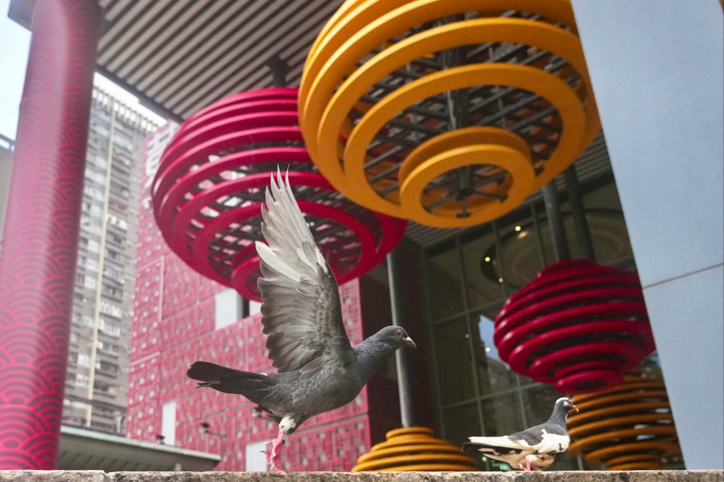 A pigeon flies around Temple Mall South in Wong Tai Sin. Photo: Karma Lo