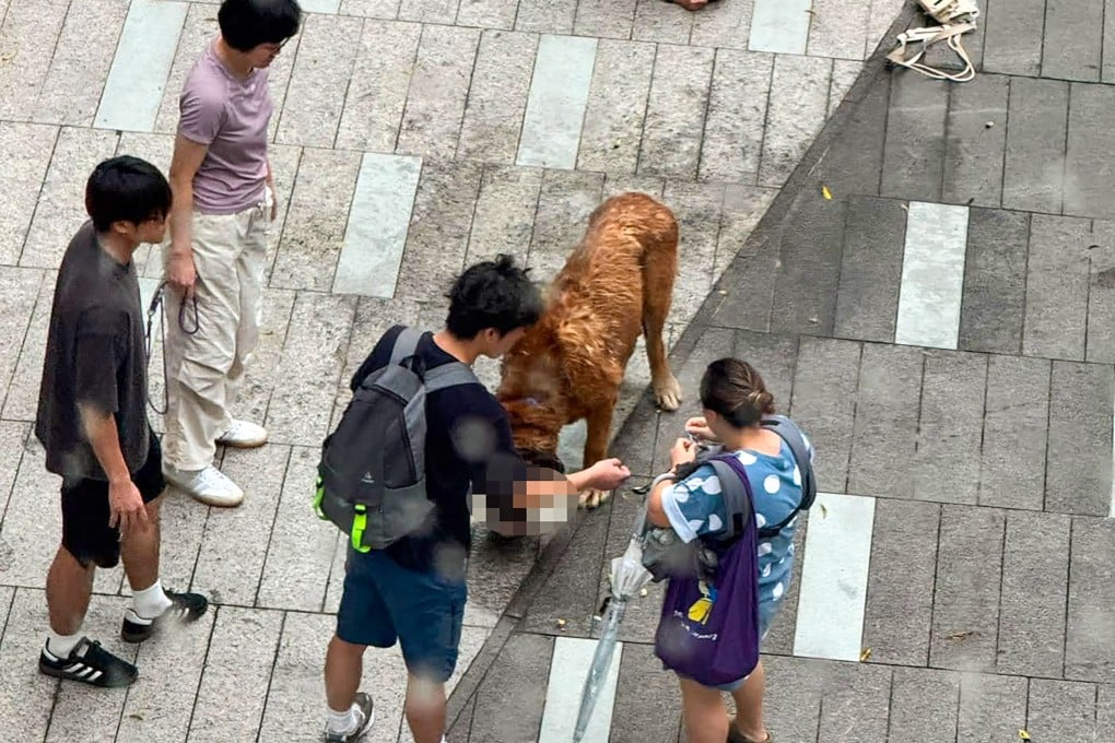 Footage circulating online shows the large dog clamping its jaws on a smaller victim as passers-by try to intervene. Photo: Threads/yyy.yuu