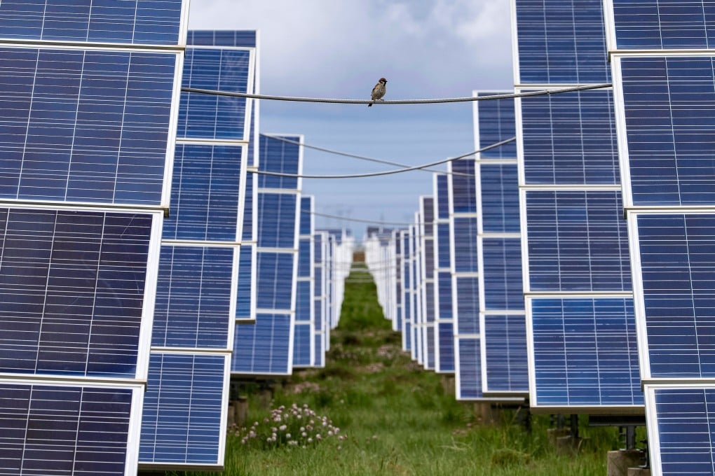 In their study, the researchers examined how China’s solar policies affected local bird biodiversity using data covering over 2,300 county-level divisions. Photo: AP
