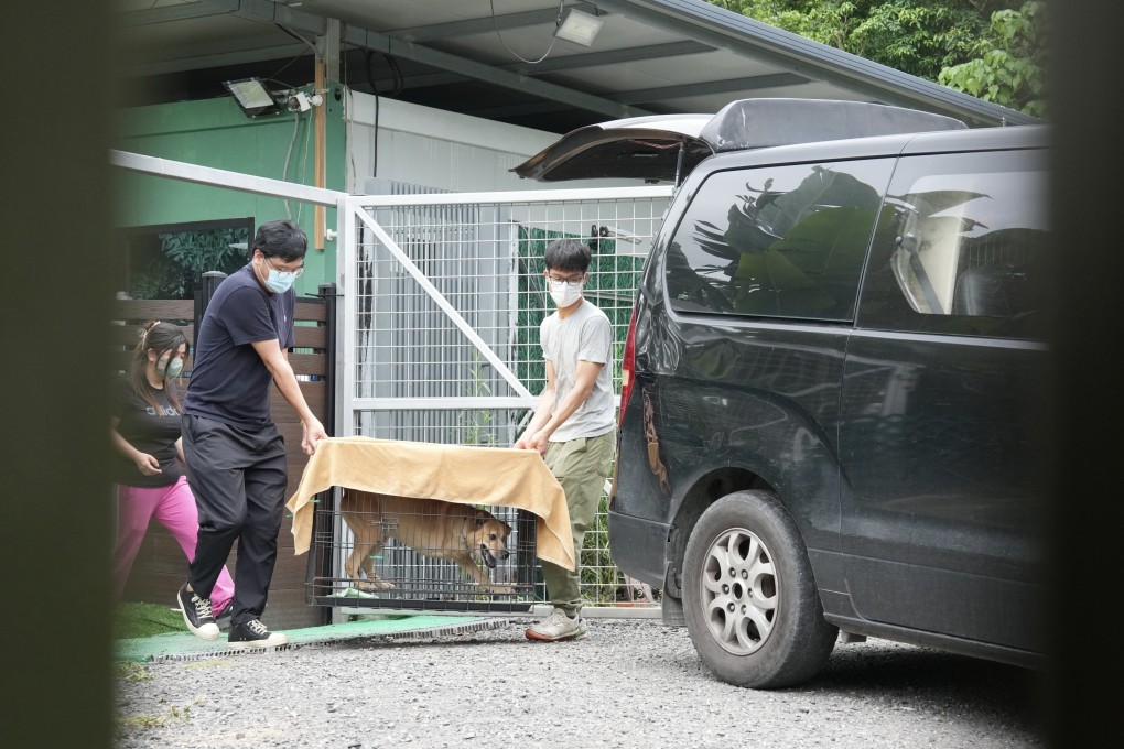 Staff at the Pawsgate training centre and pet hotel transporting a dog from the facility on Friday. Photo: Jelly Tse
