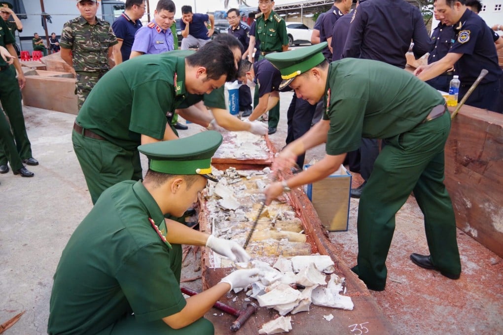 Policemen inspect a log that was used to conceal 1.2 tonnes of trafficked ivory at Quy Nhon port in Vietnam on August 12. Photo: VNA via AP
