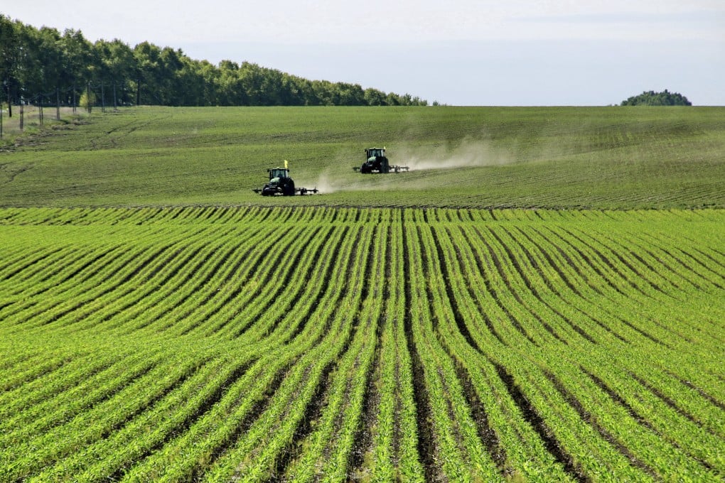 Farmers tend to a soybean field in northeastern China’s Heilongjiang province in June. Photo: Xinhua