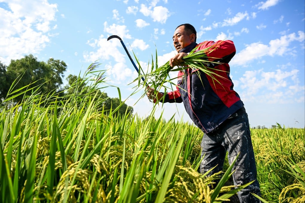 Family offices in Asia are increasingly funding food and agriculture-related projects as geopolitical risks rise, according to a new survey. Photo: Xinhua