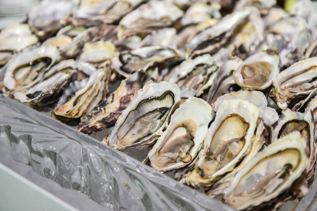 Oysters sit on a silver tray ready for sale. The molluscs are a staple of brunch menus and seafood buffets across Australia. Photo: Shutterstock