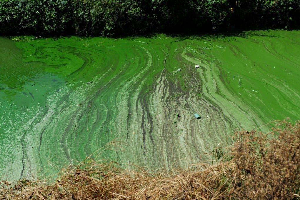 Responsibility for environmental health will follow officials throughout their careers and into retirement. Photo: AFP