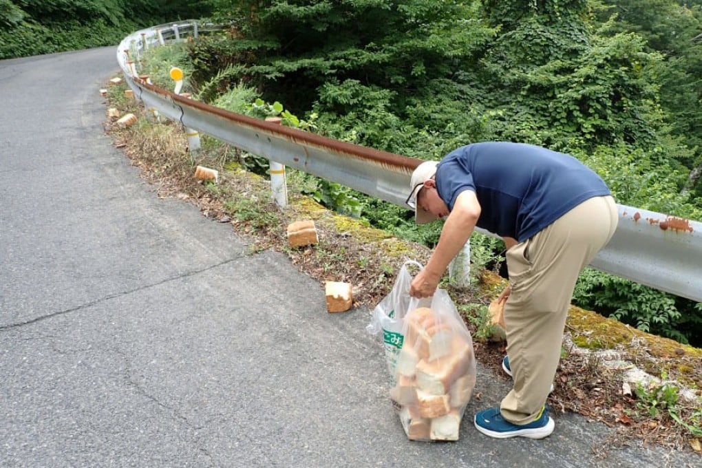 A staff member from the Natural Parks Foundation collects loaves of bread that were left by the side of the road in Daisen-Oki National Park in Tottori Prefecture on Saturday. Photo: Kyodo
