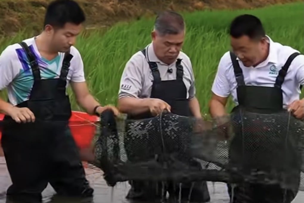 Malaysian Agriculture and Food Security Minister Mohamad Sabu (centre) visits a rice-prawn farm in the city of Wuhu in China’s eastern Anhui province in August. Photo: Facebook/Mohamad Sabu