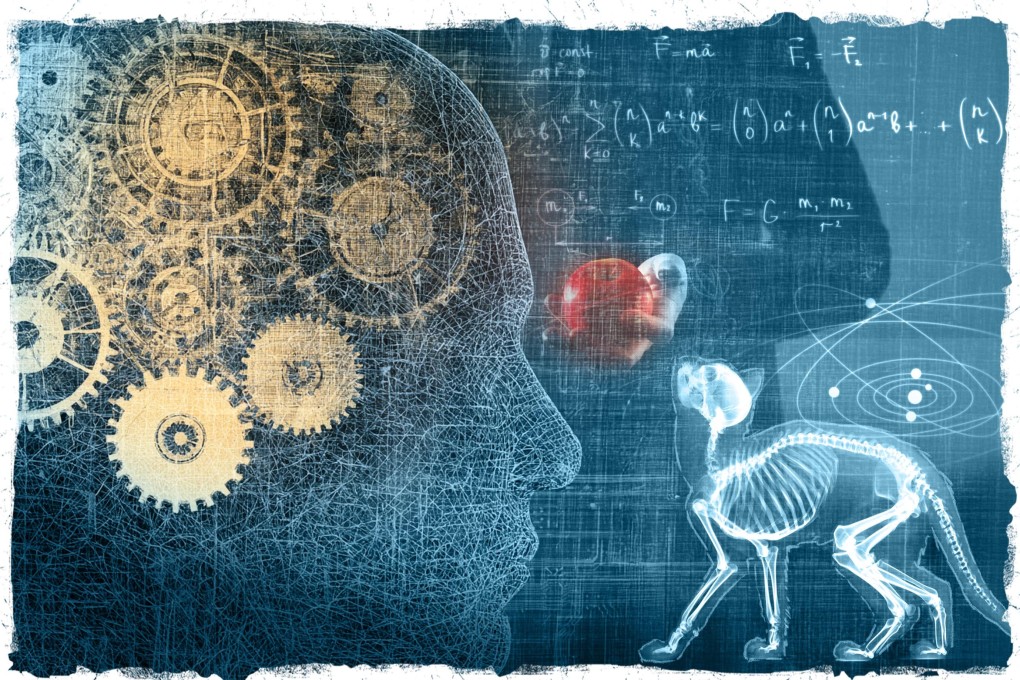 Illustration: Henry Wong