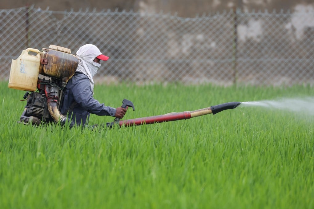 A farm worker sprays fertiliser on a paddy field in Selangor’s Sabak Bernam district, Malaysia, on April 1. Photo: EPA
