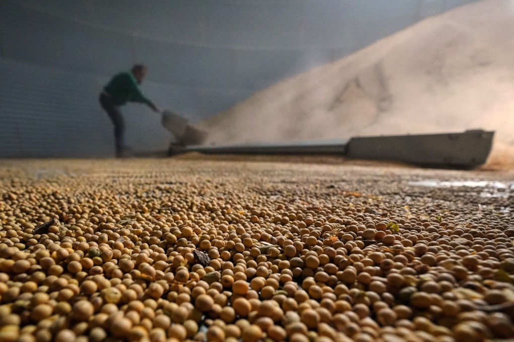 A farmer shovels soybeans in Nebraska on April 6. Photo: AP