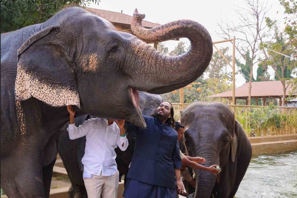 Anant Ambani (right) at the Vantara wildlife centre in India. Photo: Handout