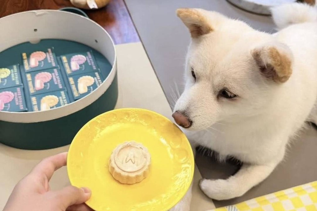 Dog mooncakes have become a popular new trend ahead of this year’s Mid-Autumn Festival in China. Photo: Handout