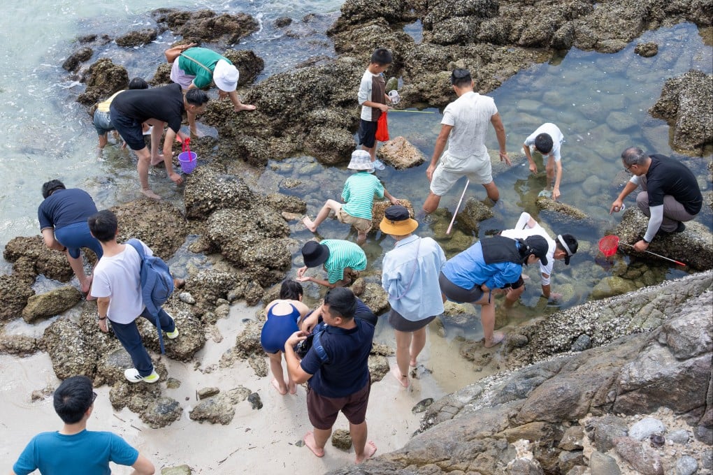 綠色和平組織揭露香港地質公園黃金周期間遊客破壞海洋生態的行為