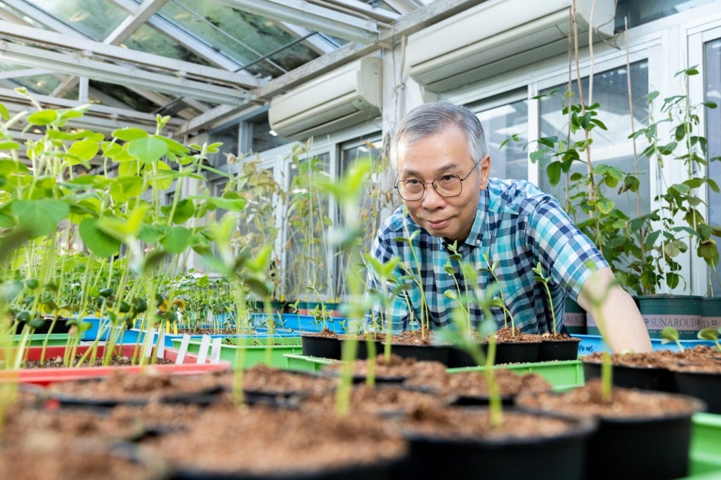 Professor Lam Hon-ming’s work on soybeans received a Gold Medal with Congratulations of the Jury at the 50th International Exhibition of Inventions Geneva in 2025. Photo: Kong Yat-pang