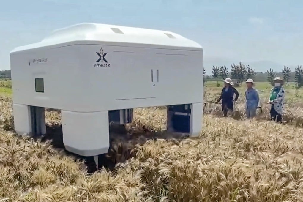 The prototype robot designed by Shandong Agricultural University seen in operation in a video screenshot. Photo: Dazhong Daily