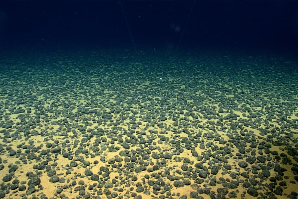 The viruses in the Clarion-Clipperton zone are likely to have unique characteristics that reflect the unusual environment in which they have evolved, which is rich in heavy metals while being extremely deficient in available nutrients. Photo: Handout