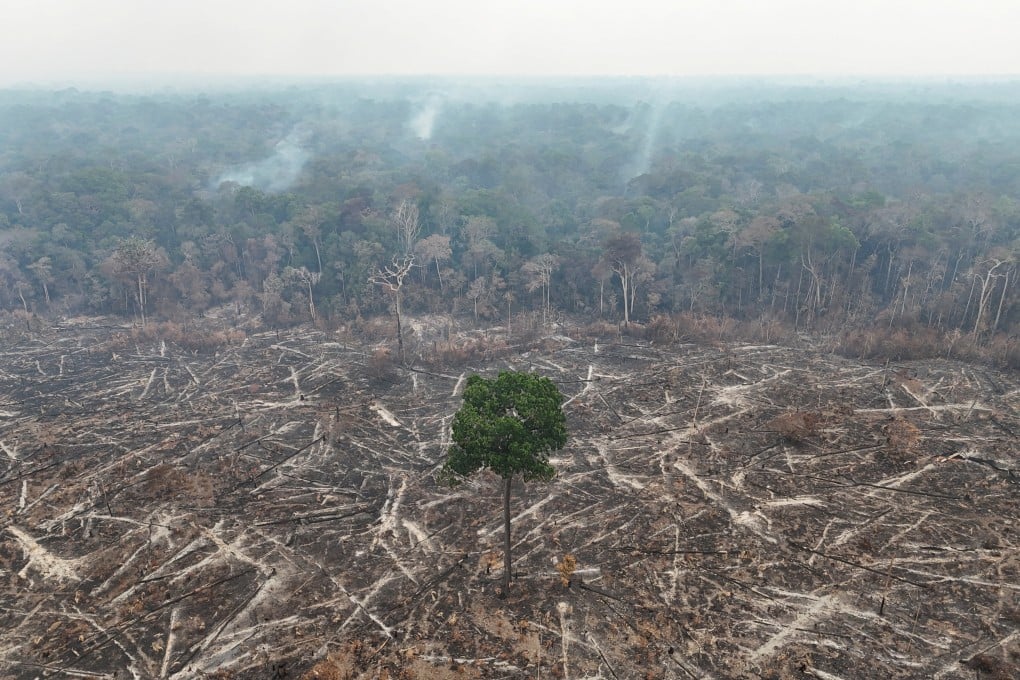 A deforested area in Amazonas state, Brazil. A report found deforestation slowed across Latin America in 2025. Photo: Reuters