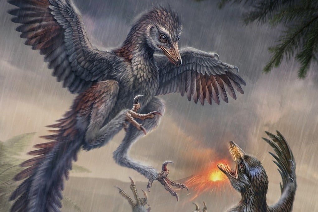 Yuezhuornis yangyuanensis is the earliest known flightless bird. Illustration: Cheung Chung-tat