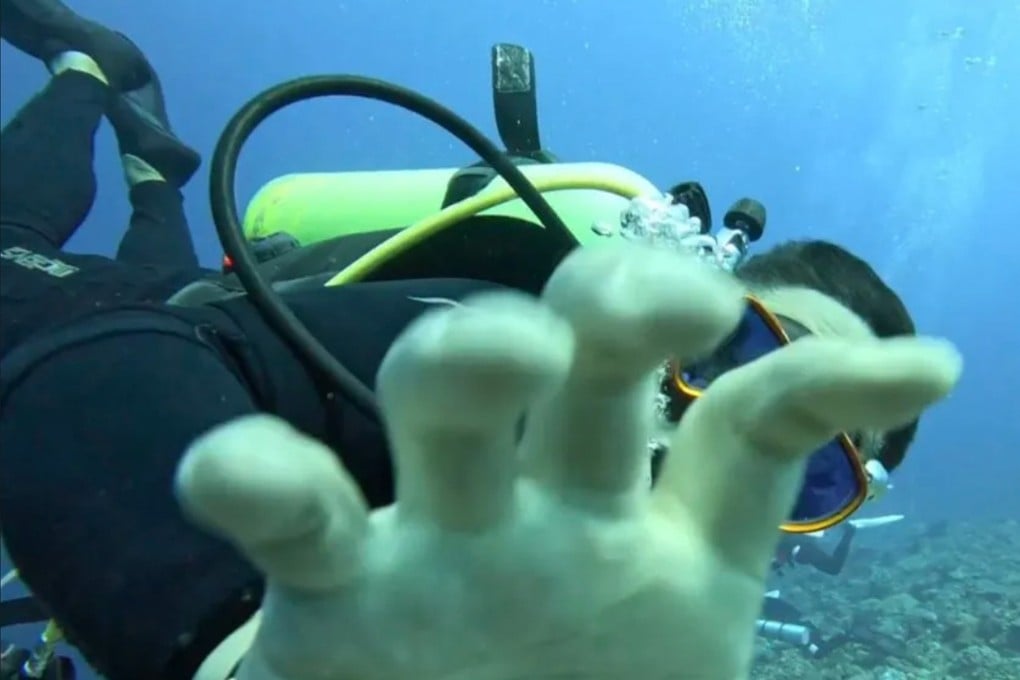 Caught on camera: Mandopop singer Devon Song survives a terrifying underwater assault in Palau after a rival guide attacks him and his instructor 25 metres deep. Photo: QQ.com