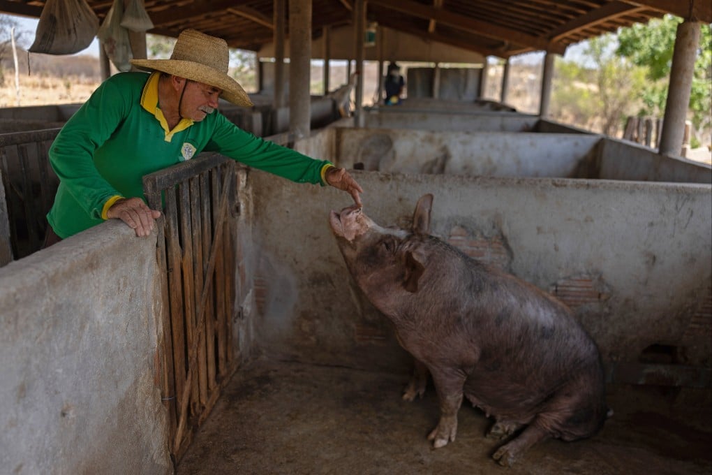 Family farming accounts for around 77 per cent of Brazil’s five million rural establishments, according to World Bank data. Photo: EPA
