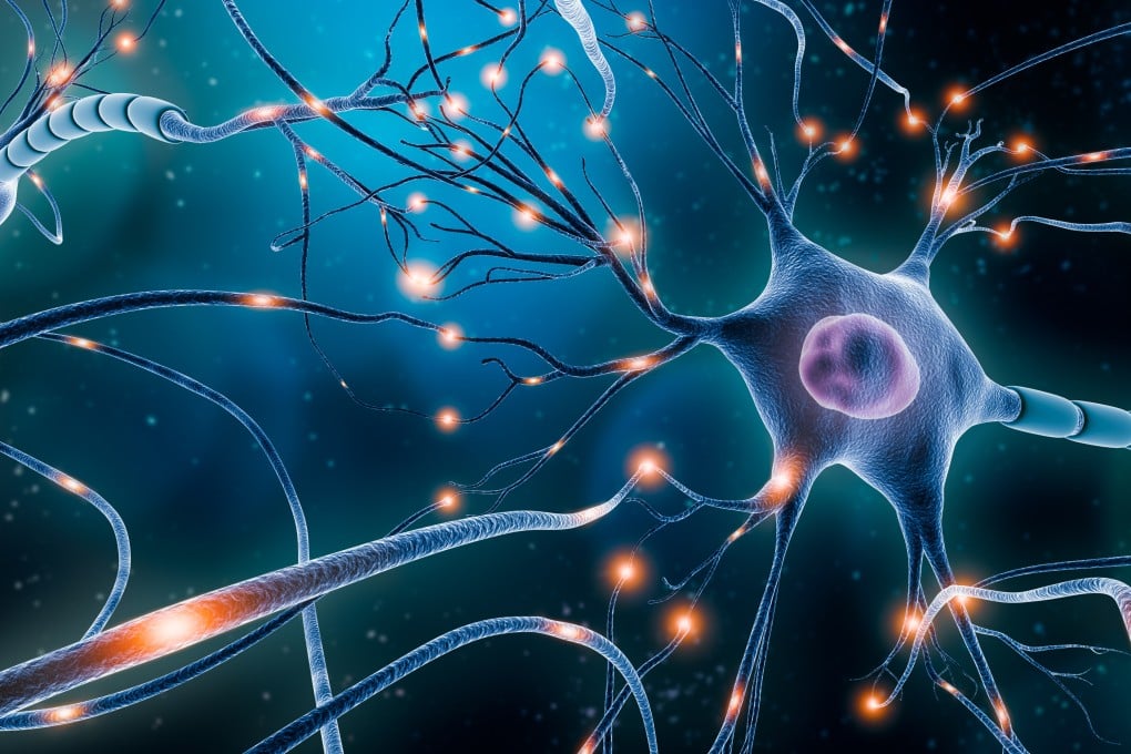 Neuronal network with electrical activity of neuron cells 3D rendering illustration. Neuroscience, neurology, nervous system and impulse, brain activity, microbiology concepts. Illustration: Shutterstock