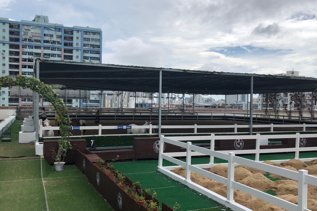 The Hainan Equestrian Association, pictured in 2017, operates a facility on the roof of a commercial building to teach children horseback riding. Horse racing and wagering will continue to be prohibited in the province. Photo: Sidney Leng