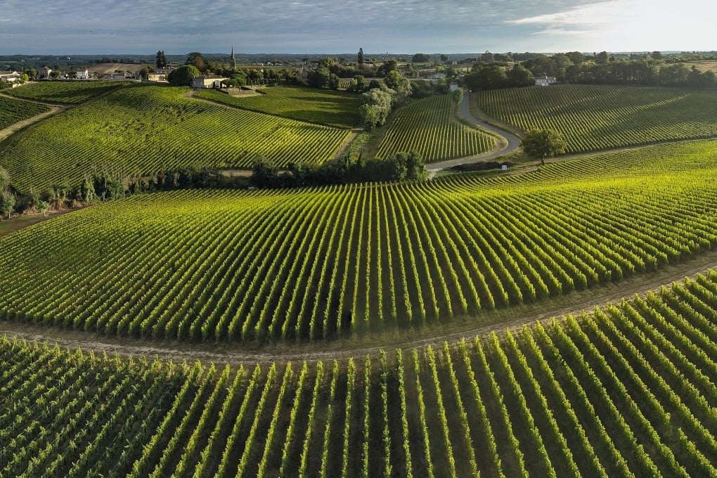 The winemaking region of Bordeaux, in France, enjoyed an excellent vintage in 2015. Photo: Shutterstock
