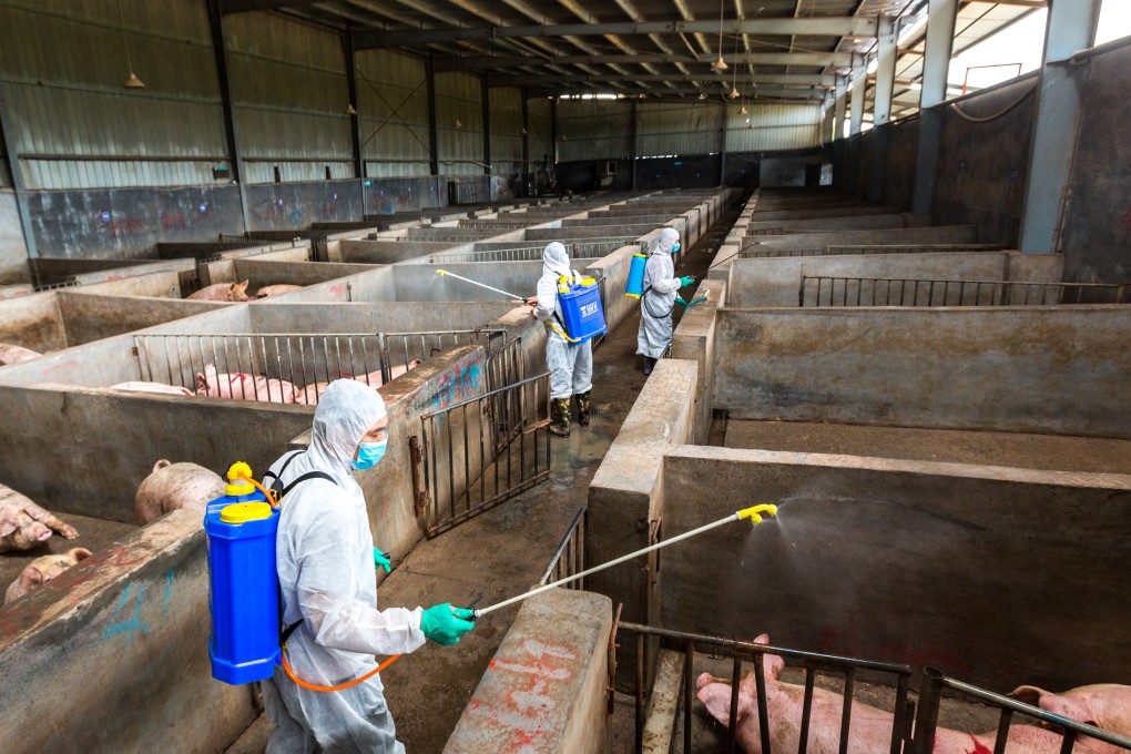 Aside from construction, the car industry is the sector which has one of the worst payment cycles, according to Coface. Photo: Reuters