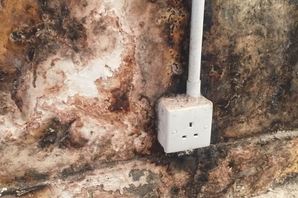 The unhealthy build-up of mould in Hong Kong artist Norm Yip’s former painting studio in Chai Wan.