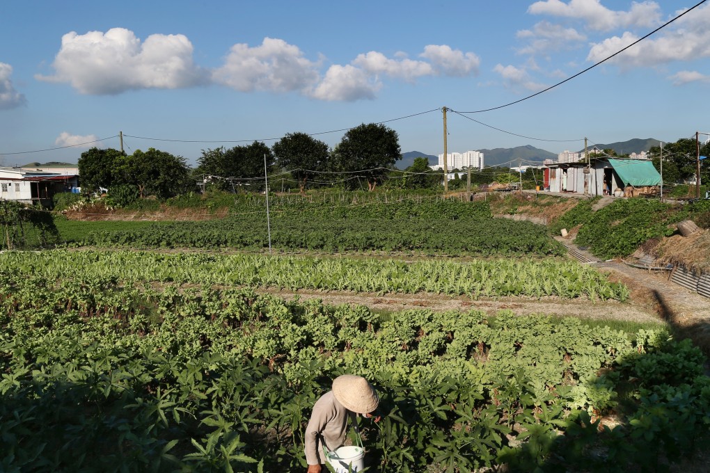 A farmer works on his crops at Kwu Tung North, where the new agricultural park will be located. Photo: Dickson Lee