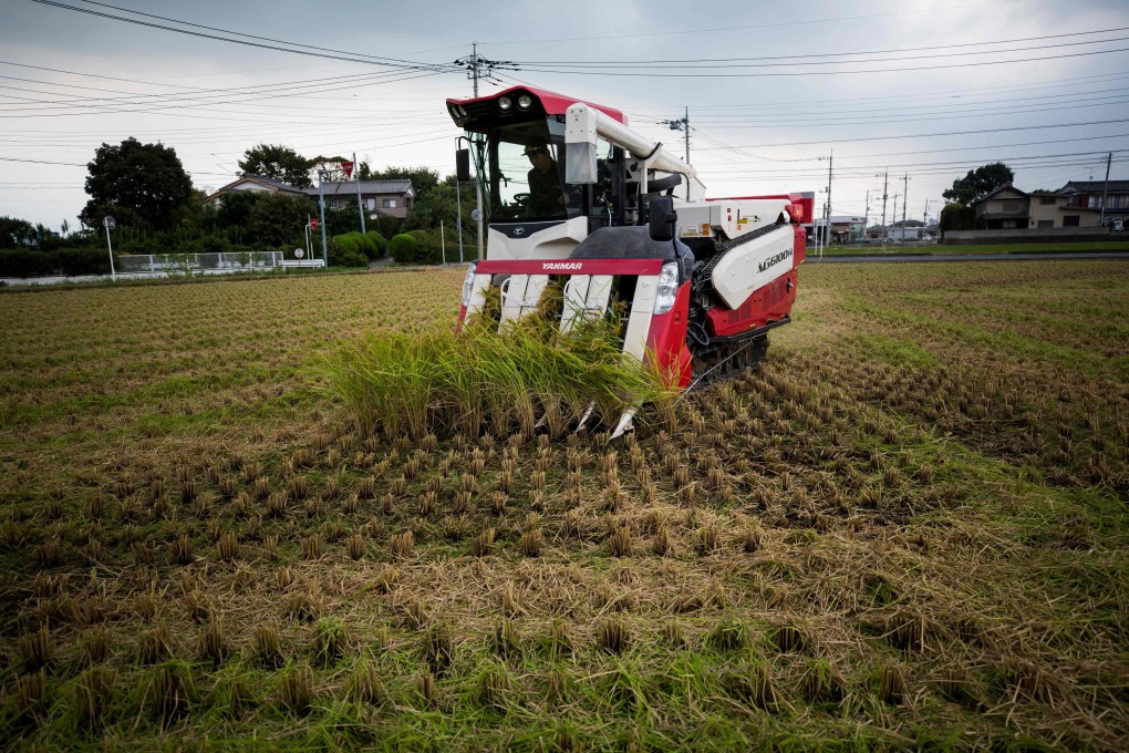 Japanese farmer Yuichi Ogura harvests rice with a combine on his paddy in Kazo city, Saitama prefecture. Photo: AFP