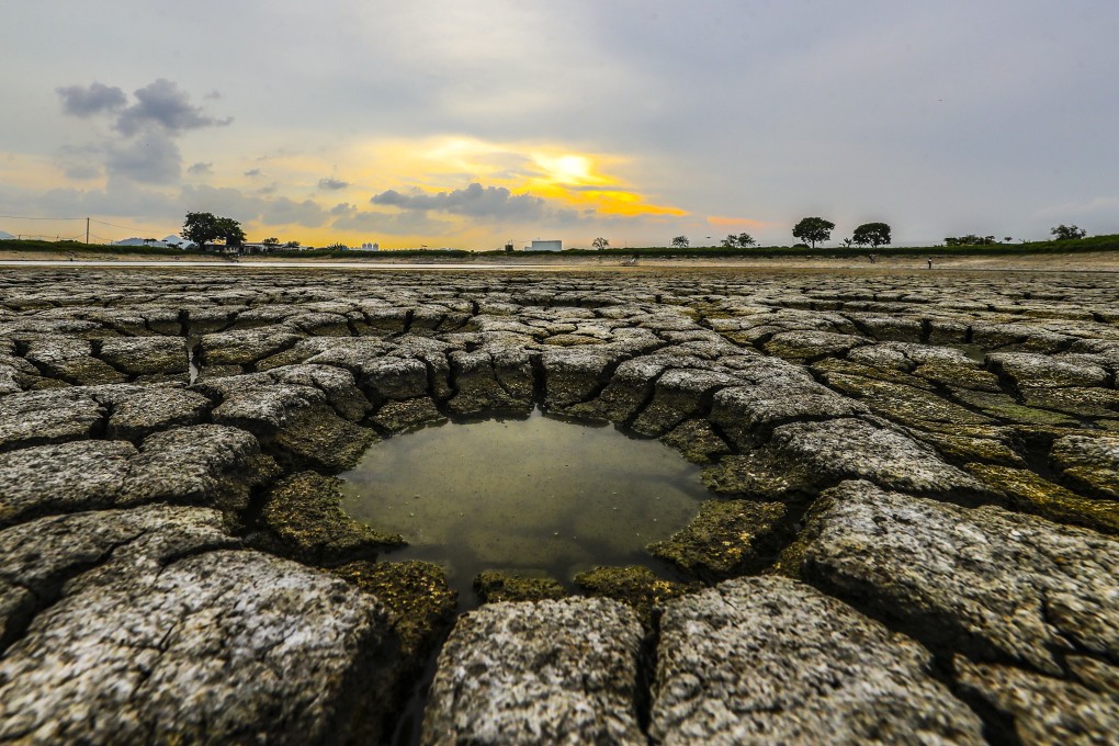 Dried up fish ponds in Tai Sang Wai, Yuen Long, during an extended period of hot weather in June 2018. Photo: Winson Wong