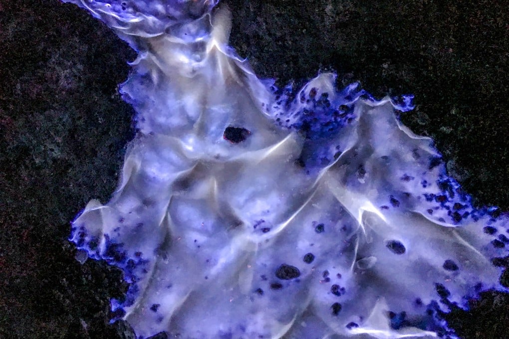 The famous blue flames coming from Kawah Ijen in Java, Indonesia, one of the largest acidic lakes in the world. Photo: Nam Cheah