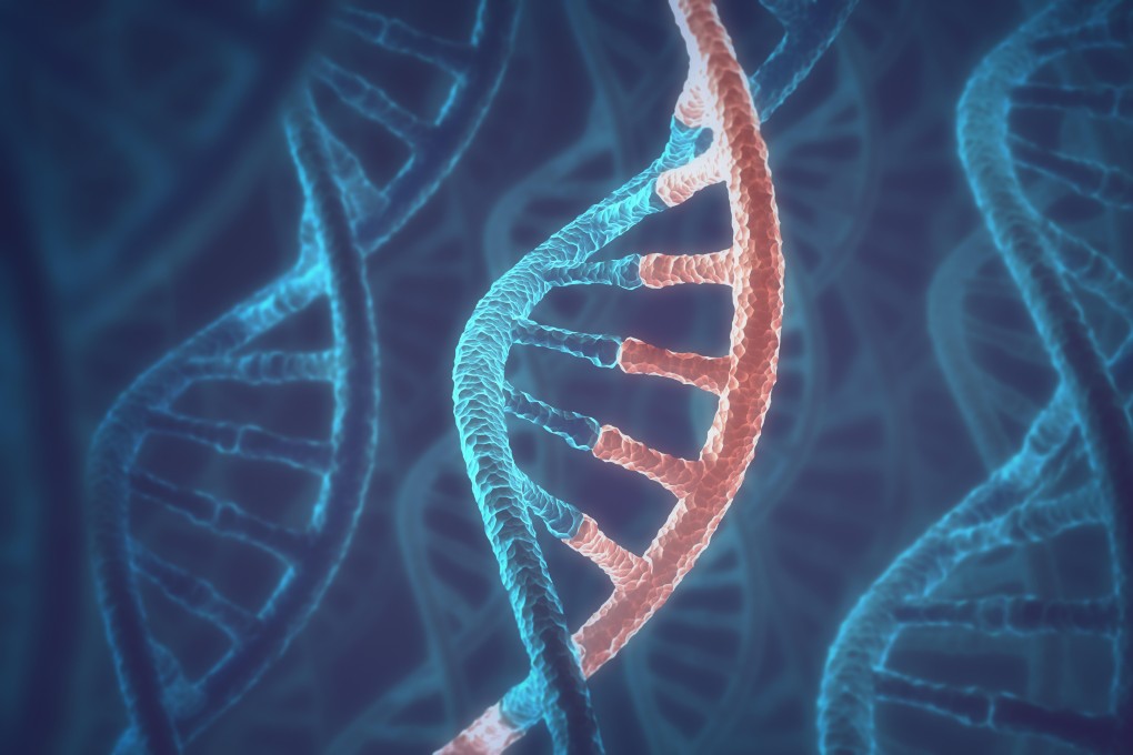 Computer image of DNA and RNA molecules. Image: handout