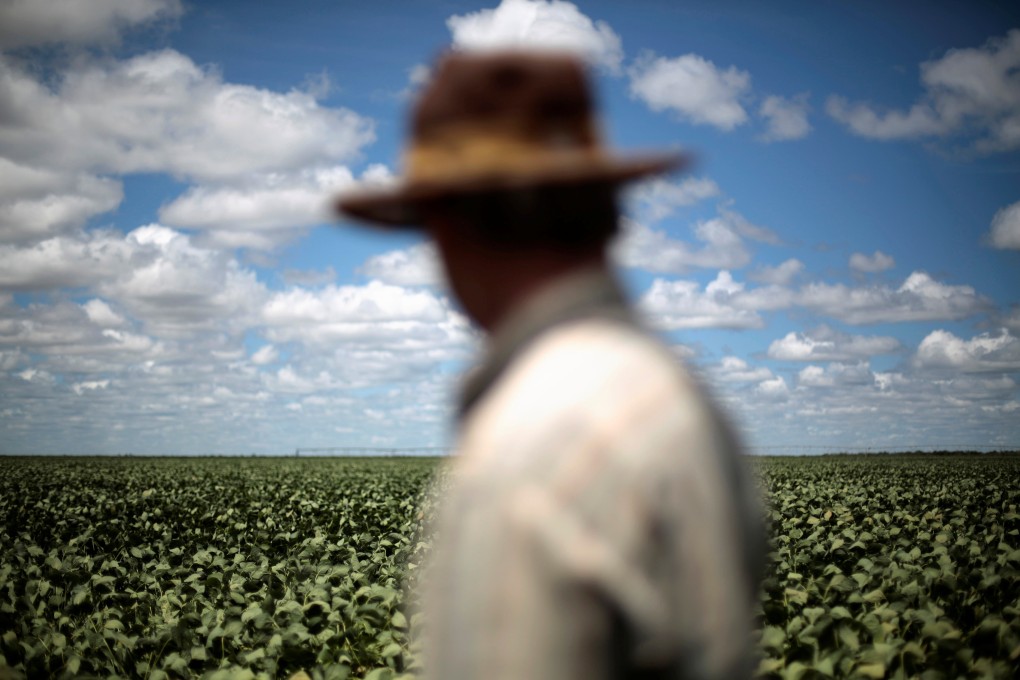 A farmer in Brazil looking at his soybean crops. File photo: Reuters