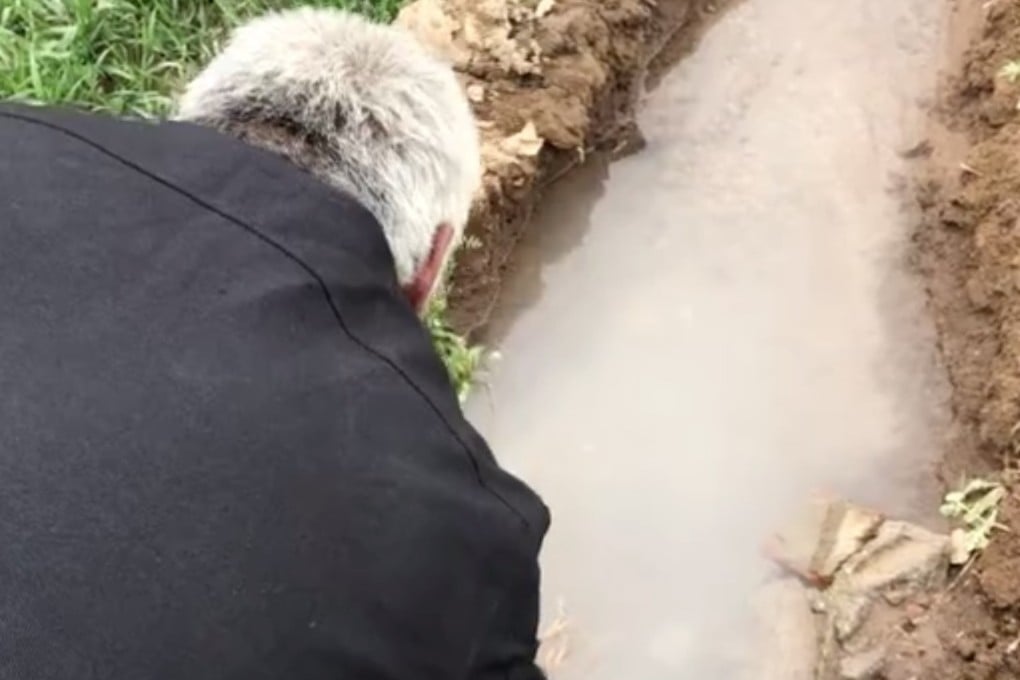 A resident of Minzhen village in Hebei province, northern China inspects the “milky” water emerging from an irrigation well which environmental experts have declared is harmless. Photo: Weibo