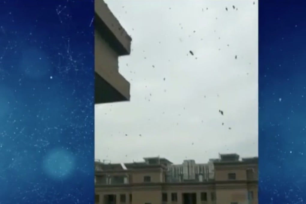 Police were called after a couple in eastern China ignored their neighbours’ complaints about the thousands of bees they kept on the balcony of their high-rise flat. Photo: Weibo