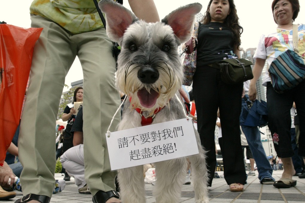 Public housing tenants take about 100 pets to the government headquarters in Admiralty, to protest against the Housing Authority’s ban on keeping pets in public housing estates in August 2003. Photo: