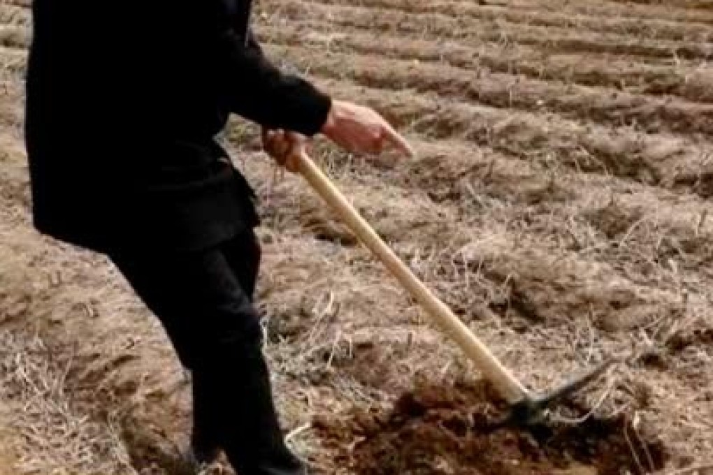 More than 100 wells dug by a local government in northern China have been abandoned and covered over because they failed to produce any water. Photo: Weibo