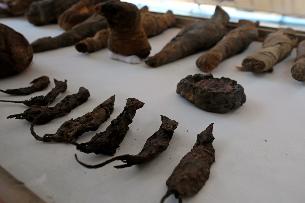 Mummified mice and falcons are displayed at a newly discovered burial site, the Tomb of Tutu, in Sohag, Egypt, on Friday. Photo: Reuters