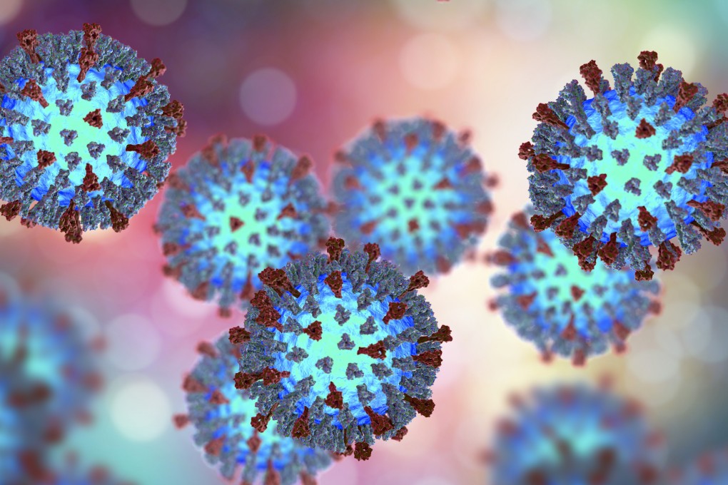 An illustration showing the structure of the measles virus. Photo: Shutterstock