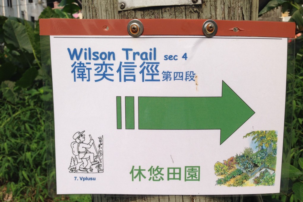 The Wilson Trail is one of many official trails in Hong Kong and one of the four major routes, but there are countless ‘unnamed’ paths are at risk. Photo: Joyee Chan