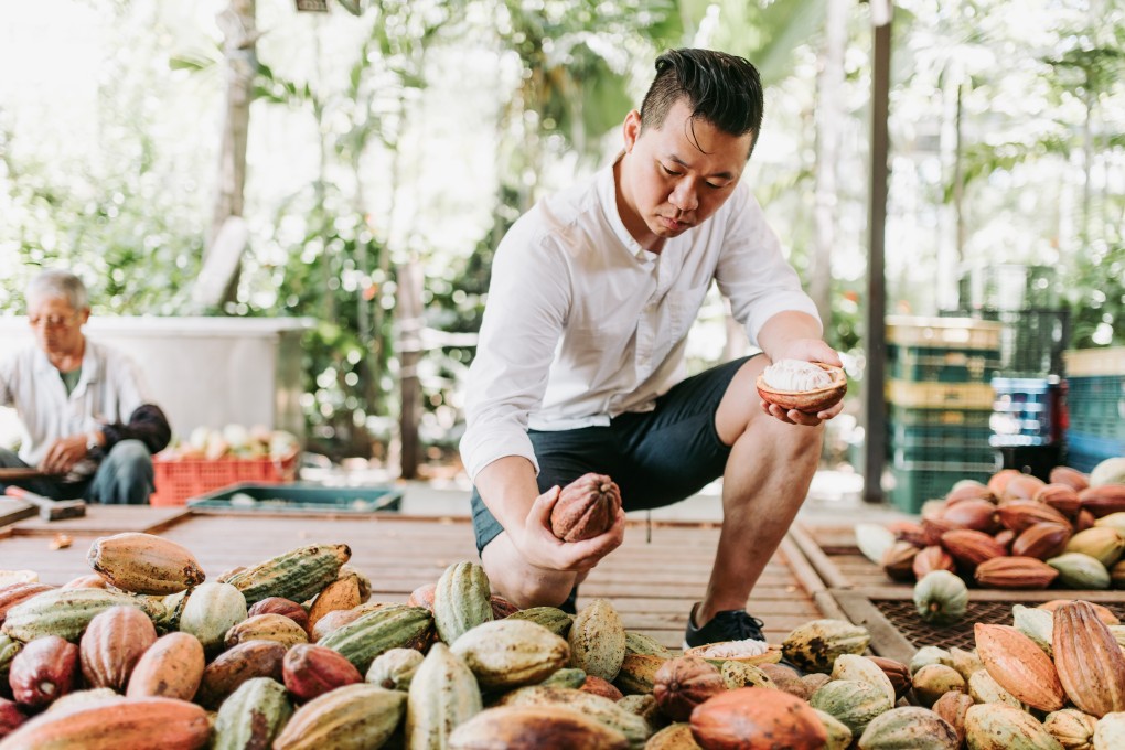 Warren Hsu checks his beans at his cocoa plantation in Taiwan.