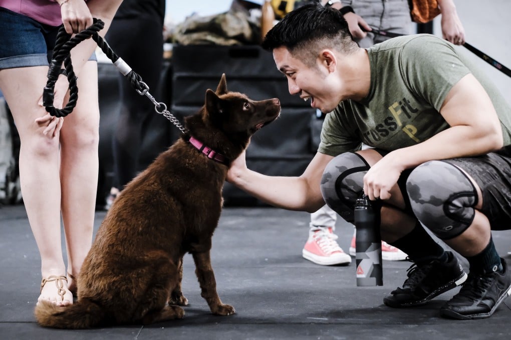 CrossFit Asphodel has an annual charity competition. This year, they raised money for Catherine’s Puppies, which had it’s woof damaged in Typhoon Mangkhut. Photos: CrossFit Asphodel