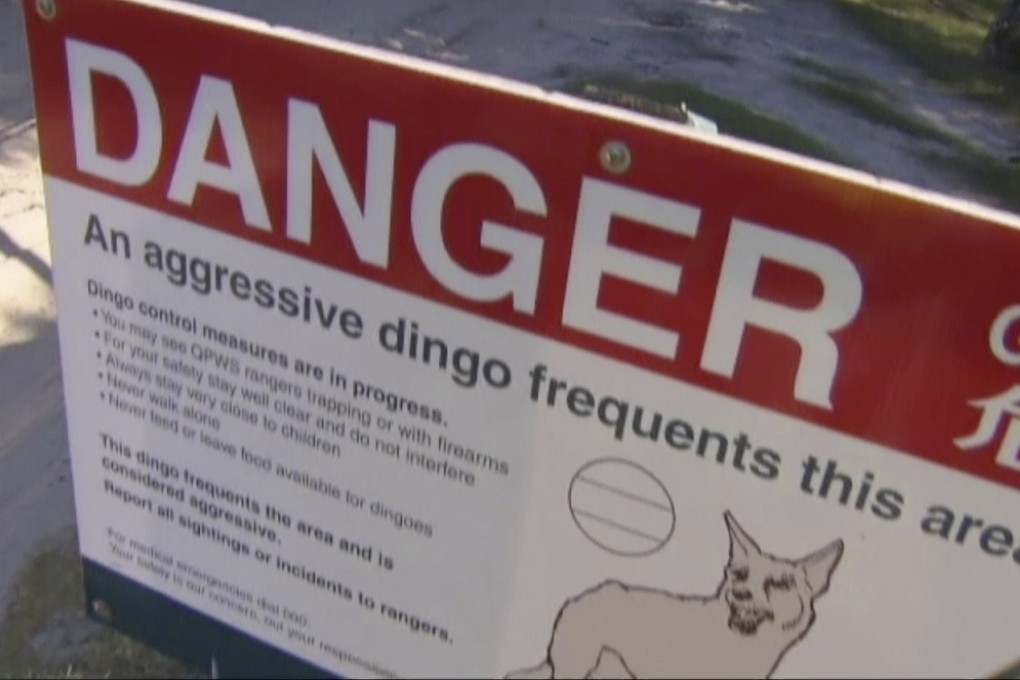 A sign warning about an aggressive dingo on Fraser Island, Australia. Photo: AP